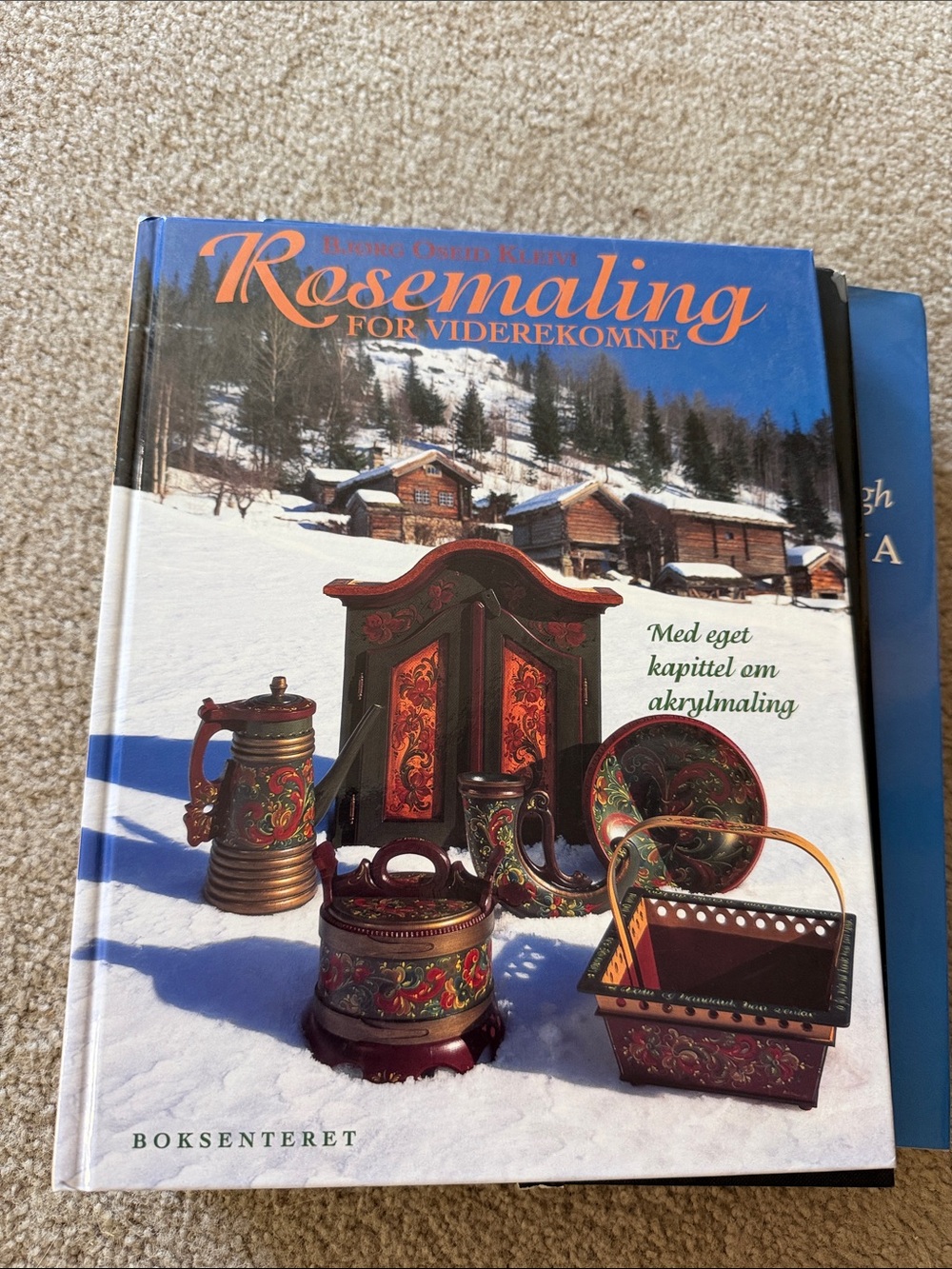 Rosemaling for Viderekomne by Bjørg Oseid Kleivi.
